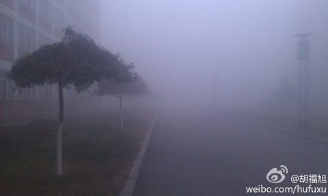 今天早晨大霧彌漫