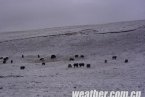 青海南部大雪不斷 清水河積雪較深道路出現(xiàn)結冰