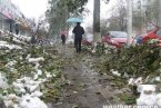 北京延慶暴雪11月4日暴雪沒有化 延慶天氣預報今天還