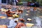 強雨雪及寒潮天氣來襲 今日河北連發五預警
