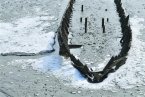 強冷空氣來襲 青島天氣受寒潮影響膠州灣出現海冰