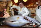 史上最貴金槍魚 一條222kg的金槍魚(鮪魚)售價1.55億日