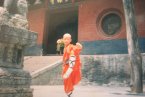 王寶強昔日少林寺習武照 王寶強年輕時在少林寺勤奮