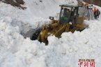 新疆伊犁雪崩 3月6日新疆伊犁鞏乃斯山區218國道發生