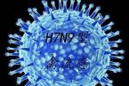 杭州禽流感 浙江杭州有2例人感染h7n9禽流感確診病例