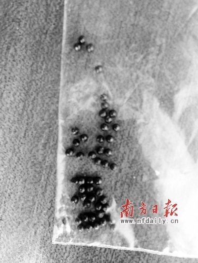 陸豐村官向村民開(kāi)槍