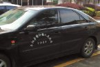溫州平陽公務車改革 車身單位名稱公務車車牌統一杜