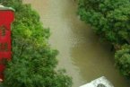 廣西暴雨 廣西29日暴雨引發城市內澇