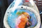 百事可樂喝出死魚 6月4日西安一市民在百事可樂喝出