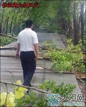 河南遇暴雨冰雹38萬人受災(zāi)1人死亡 冰雹個(gè)頭最大如雞蛋