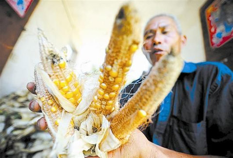 湖北持續高溫少雨旱情加劇 立秋最高溫達42.2℃