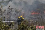 杭州火災事故 8月8日上午杭州桐廬縣森林起火