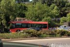 溫州301公交車車禍 大早上301公交車司機(jī)開這么快干嘛