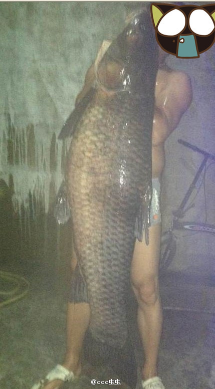 浙江瑞安馬嶼驚現(xiàn)64.7斤超大青魚 魚身長度有一人高