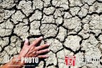 安徽高溫少雨天氣致旱情擴大 造成經濟損失10.7億元