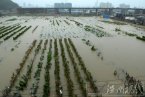 定西暴雨 8月24日定西市安定區發生特大暴雨致千人受