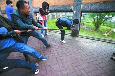 長沙生態(tài)動物園進(jìn)行了“人虎拔河”的比賽