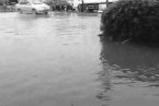 上海暴雨 2013年9月11日至13日上海連續下暴雨