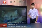 男子誤把狐貍當女友 英國一名男子睡夢中誤把狐貍當