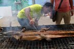 南寧美食節(jié)烤鱷魚 烤全羊算什么2013廣西南寧美食節(jié)