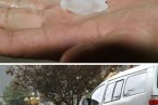 甘肅遭冰雹襲擊 造成經(jīng)濟(jì)損失1.3億
