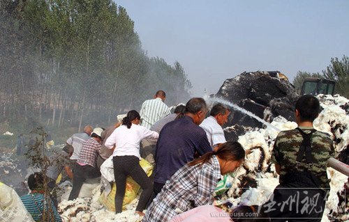 村民高速搶棉花圖片