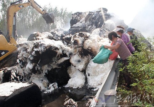 村民不顧危險爭搶棉花