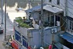 溫州雙嶼嵇師新街和山后路違章建筑被群眾舉報