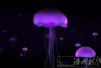 核電站被水母圍攻 瑞典核電站反應堆因水母干擾關閉