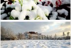 拉薩第一場雪 28日上午拉薩迎來第一場冬雪