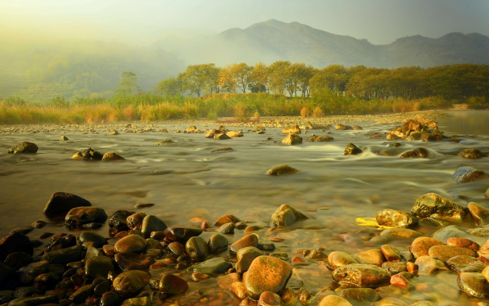 晨霧中的楠溪江灘林