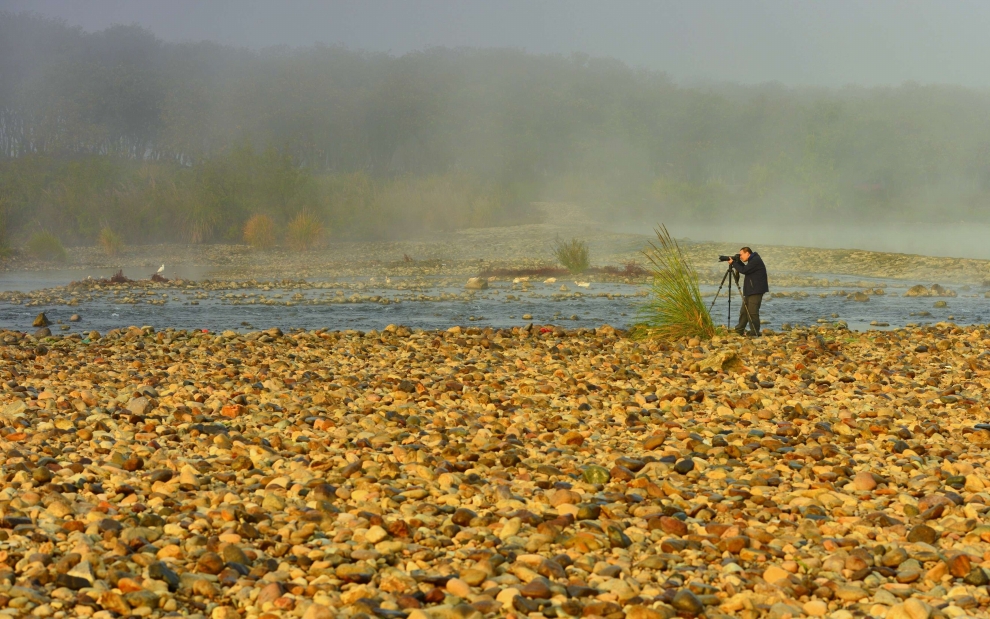 晨霧中的楠溪江灘林