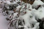 浙江下雪了 2013年冬季浙江多地迎來第一場雪