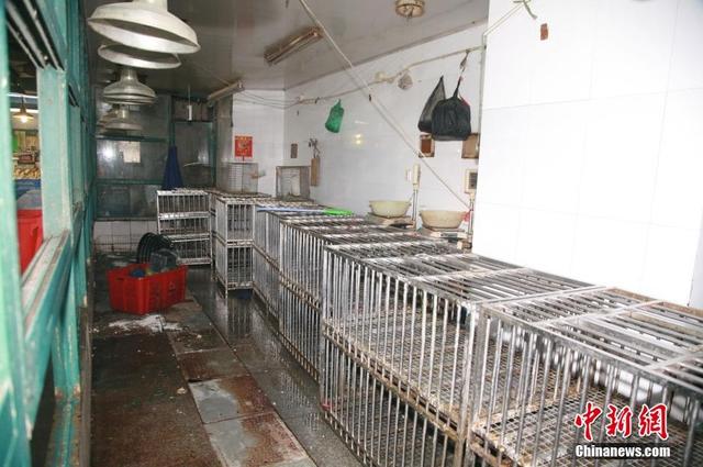 浙江感染h7n9病例2014年已有12人死亡，發(fā)現(xiàn)浙江h(huán)7n9人傳人病例