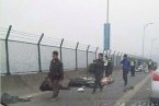 西江大橋車禍 1月24日肇慶西江大橋上發生車禍