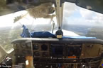 飛機撞鳥飛行員受傷 美國一只飛鳥撞飛機粉身碎骨