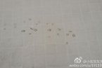 河北馬年迎來第一場雪 12條高速公路結冰