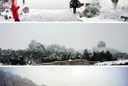 杭州下雪了嗎 2月9日杭州城區下起2014年第一場雪
