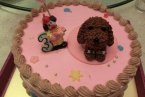 溫州女孩為小狗辦生日宴會 白富美為愛犬過生日