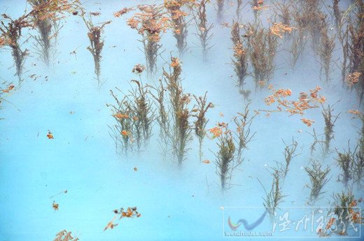 河道被染成藍色