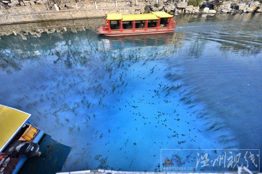 濟南護城河污水泄露