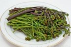 俗稱拳頭菜的蕨菜會(huì)致癌 科學(xué)家證明蕨菜含多種致癌