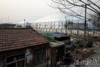 北京帳篷館圖片 北京順義國際學校將帳篷體育館