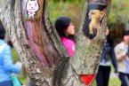 福建農林大學創意樹洞畫 為美麗的校園添色彩