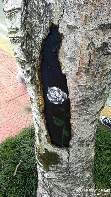 福建農林大學創意樹洞畫 為美麗的校園添色彩