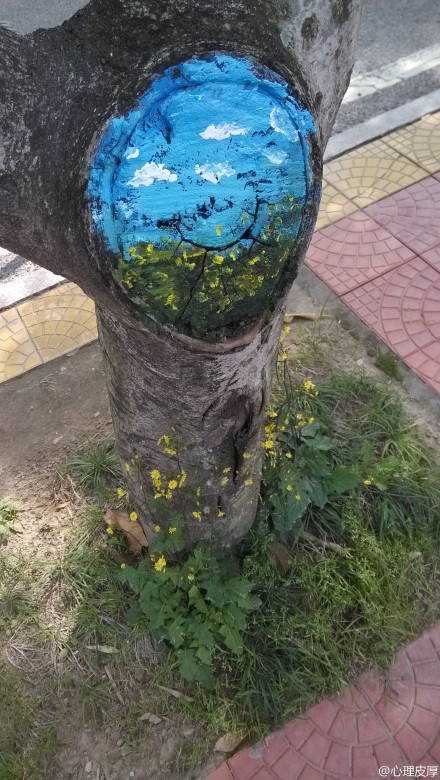福建農林大學創意樹洞畫 為美麗的校園添色彩