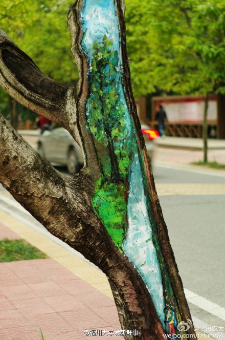 福建農林大學創意樹洞畫 為美麗的校園添色彩