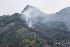 永嘉巖頭鎮下烘頭村2014年3月16日發生森林火災