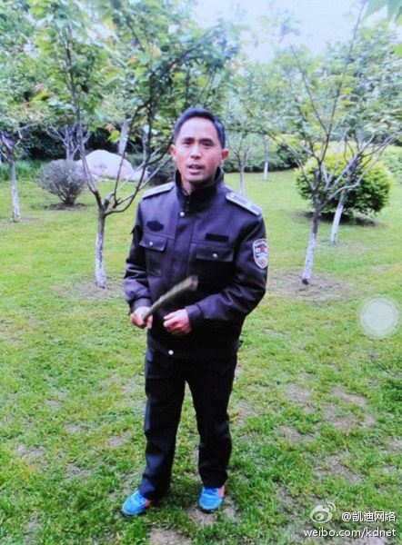 合肥城管持棍棒圍毆游客