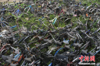 自行車墓地3000輛自行車被遺棄 四川大學空地自行車